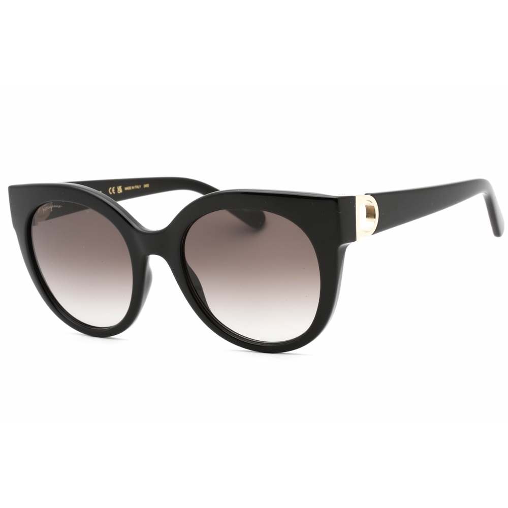 Salvatore Ferragamo SF1031S Sunglasses Black Round